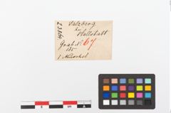 Etiketten zu Muschelschale (NHMW-PRAE-023864)